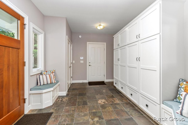 17180 Shore Oaks W Ln, Holland, MI 49424 - mudroom featuring stone finish flooring and baseboards