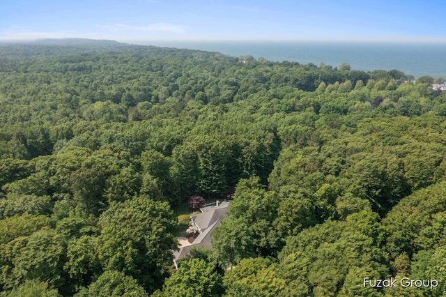 17180 Shore Oaks W Ln, Holland, MI 49424 - aerial view of property's location featuring a forest