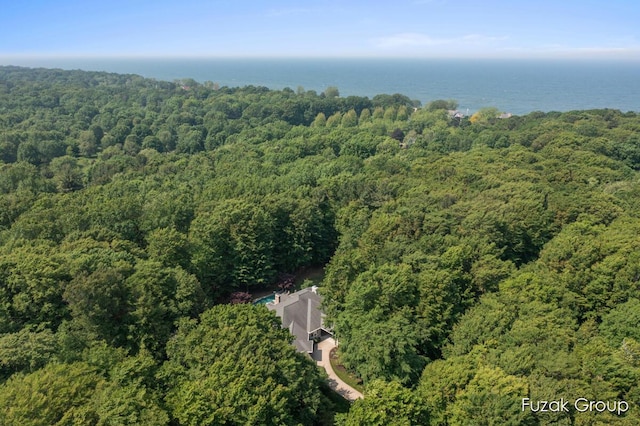 17180 Shore Oaks W Ln, Holland, MI 49424 - view of property location featuring a heavily wooded area and a nearby body of water