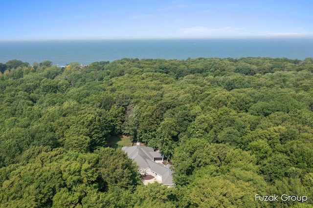 17180 Shore Oaks W Ln, Holland, MI 49424 - drone / aerial view of a heavily wooded area