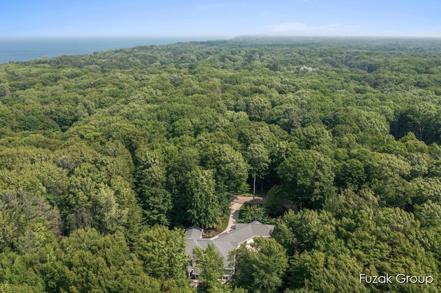 17180 Shore Oaks W Ln, Holland, MI 49424 - drone / aerial view of a forest