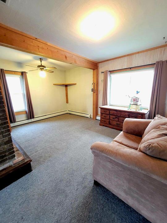 living room with a wealth of natural light, a ceiling fan, and carpet flooring