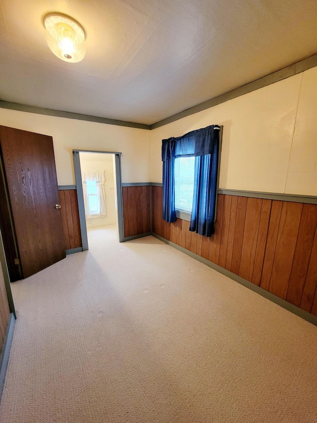 unfurnished bedroom featuring a wainscoted wall, wooden walls, and carpet