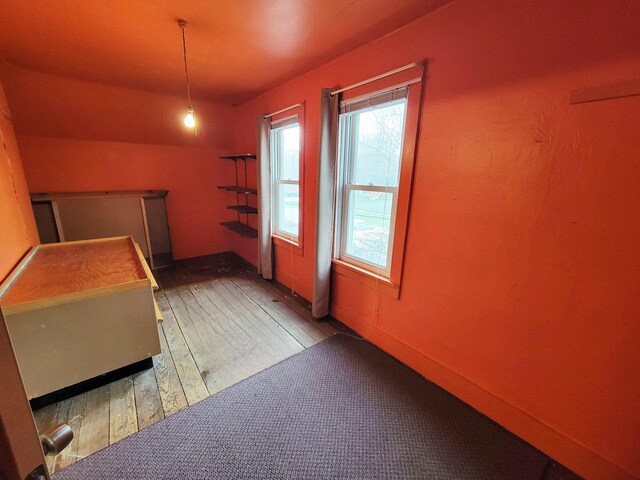 interior space featuring hardwood / wood-style flooring