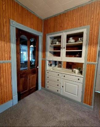 bar featuring wood walls and carpet floors
