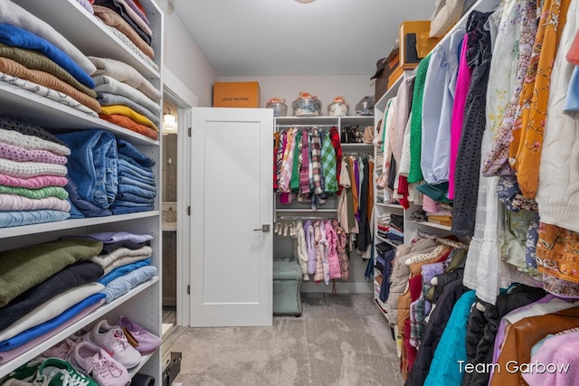8393 Woodhaven Dr SW Unit 01, Byron Center, MI 49315 - spacious closet featuring carpet floors