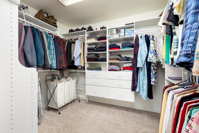 spacious closet featuring carpet flooring