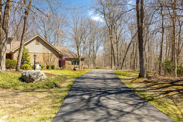 view of road featuring aphalt driveway