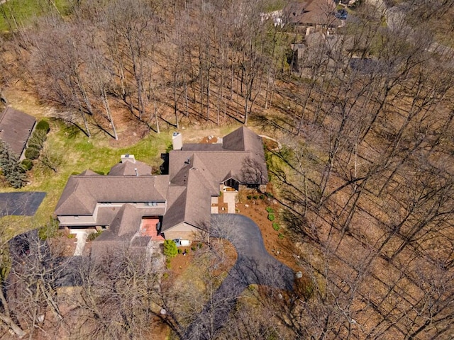 drone / aerial view