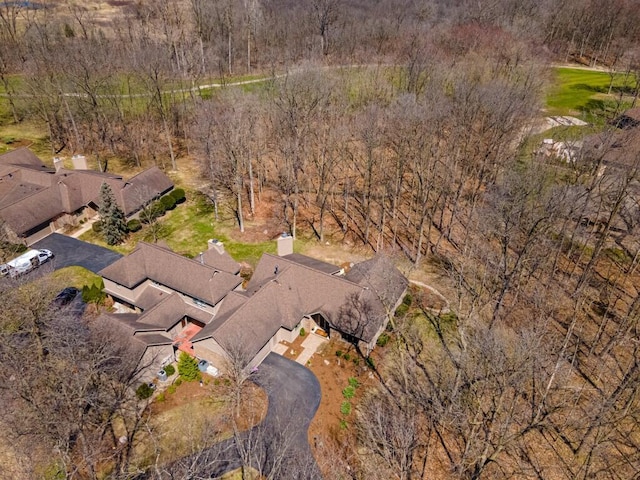 drone / aerial view