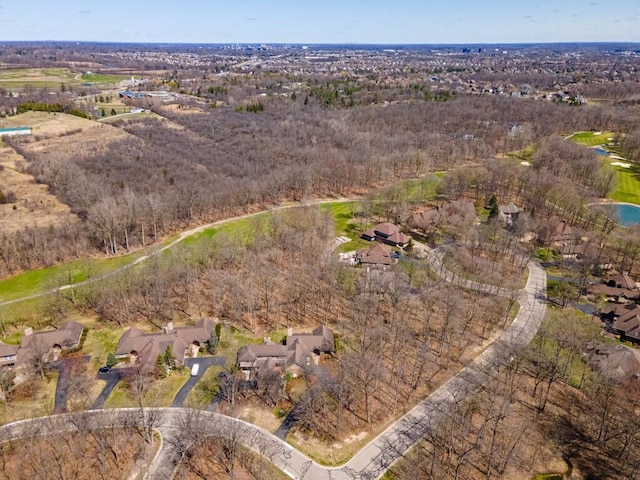 bird's eye view