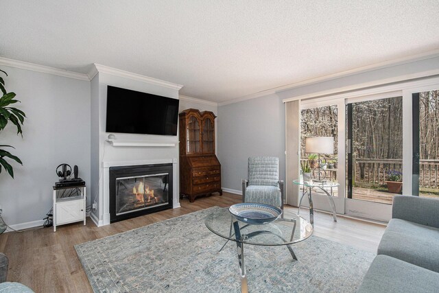2420 E Collier Ave SE, Grand Rapids, MI 49546 - living room with a glass covered fireplace, wood finished floors, crown molding, and a textured ceiling