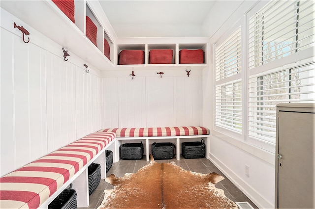 mudroom featuring plenty of natural light
