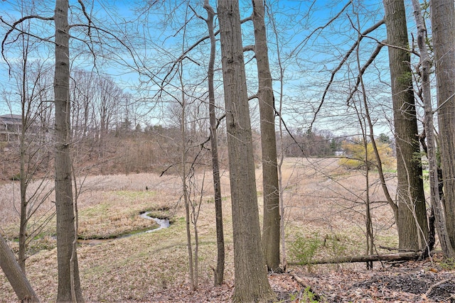 view of local wilderness