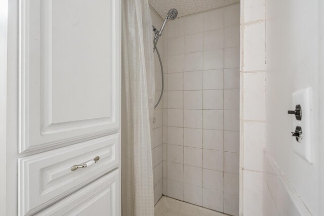 11886 Riverside Dr, White Pigeon, MI 49099 - bathroom featuring a shower stall
