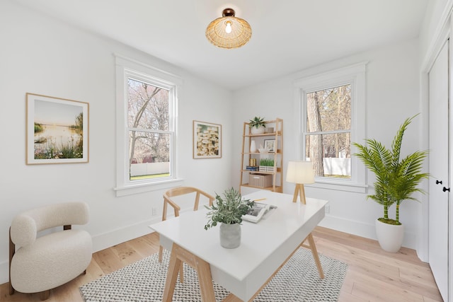 office featuring baseboards, light wood finished floors, and plenty of natural light