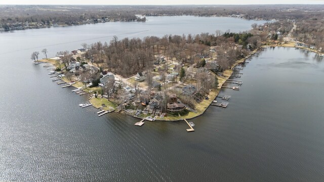 5505 Lakewood Dr, Coloma, MI 49038 - bird's eye view with a water view