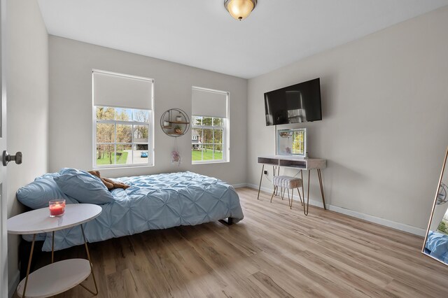 5849 Gavin Ln, Kalamazoo, MI 49009 - bedroom featuring baseboards and light wood-style floors