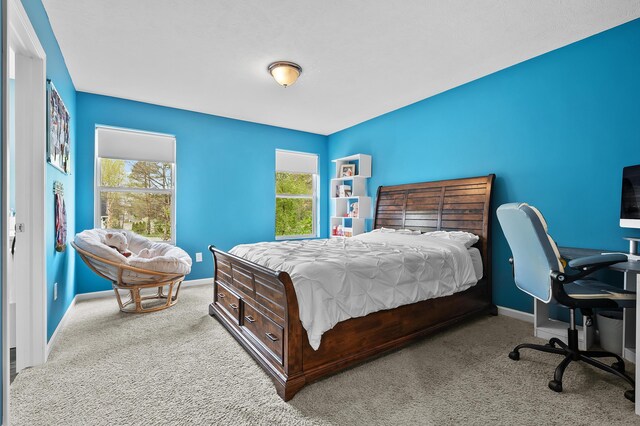 5849 Gavin Ln, Kalamazoo, MI 49009 - bedroom with baseboards and carpet floors