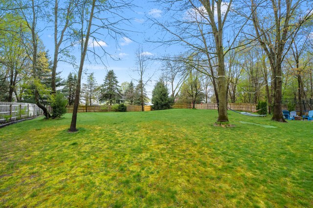 5849 Gavin Ln, Kalamazoo, MI 49009 - view of yard with a fenced backyard