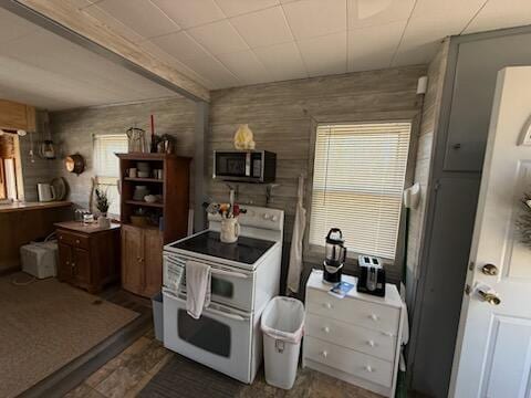 4605 Hunters Trl, Six Lakes, MI 48886 - kitchen featuring range with two ovens, stainless steel microwave, and wood walls