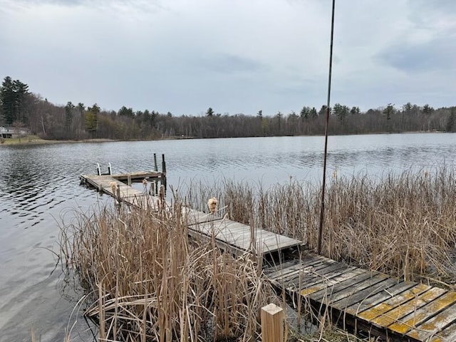 4605 Hunters Trl, Six Lakes, MI 48886 - dock featuring a water view and a wooded view