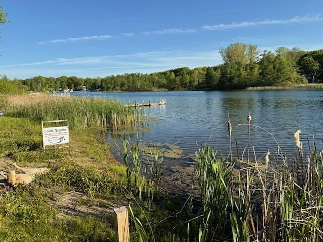 4605 Hunters Trl, Six Lakes, MI 48886 - water view featuring a heavily wooded area