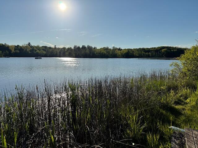 4605 Hunters Trl, Six Lakes, MI 48886 - water view