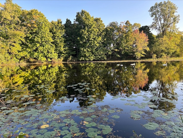 215 E Liberty Rd, Cement City, MI 49233 - view of water feature