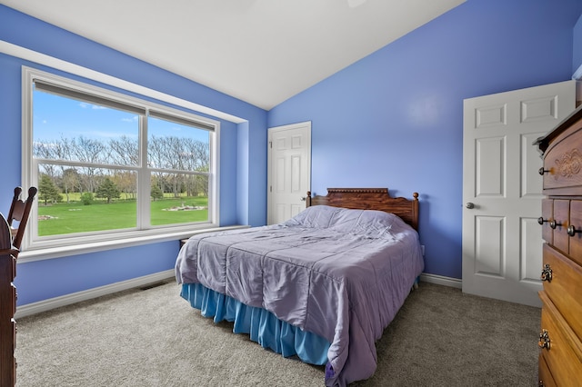 51441 Jordan St, Paw Paw, MI 49079 - bedroom featuring lofted ceiling and carpet floors