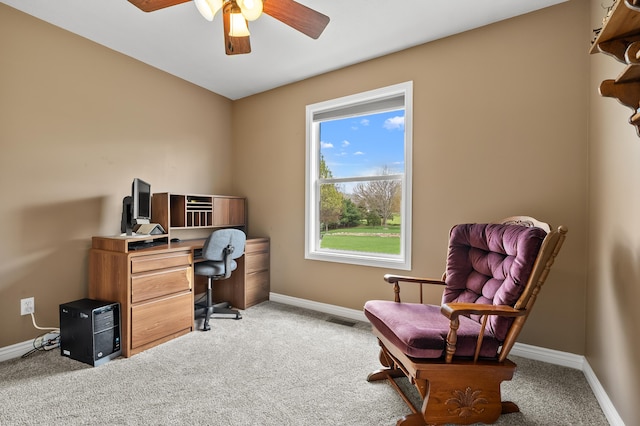 51441 Jordan St, Paw Paw, MI 49079 - office space featuring carpet floors and a ceiling fan