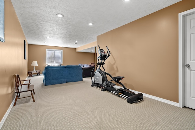 51441 Jordan St, Paw Paw, MI 49079 - exercise area featuring carpet flooring, a textured ceiling, and recessed lighting