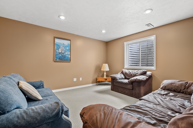 51441 Jordan St, Paw Paw, MI 49079 - carpeted living area with recessed lighting