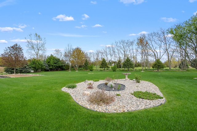 51441 Jordan St, Paw Paw, MI 49079 - view of grassy yard