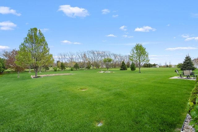 51441 Jordan St, Paw Paw, MI 49079 - view of green lawn