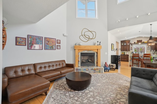 living room featuring high vaulted ceiling, wood finished floors, and a fireplace with raised hearth