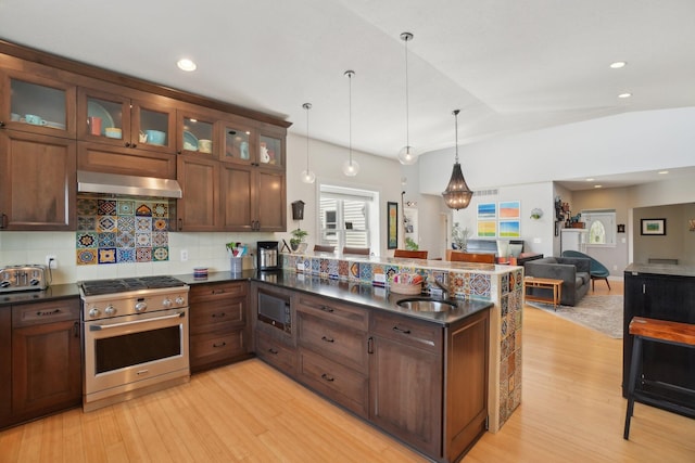 kitchen featuring dark countertops, appliances with stainless steel finishes, range hood, and light wood-type flooring