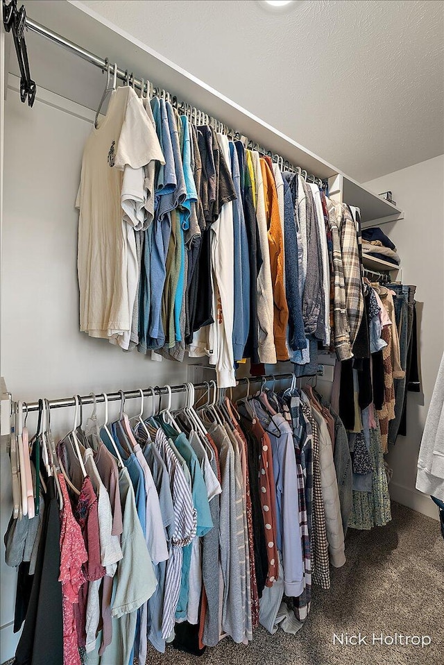 walk in closet featuring carpet floors