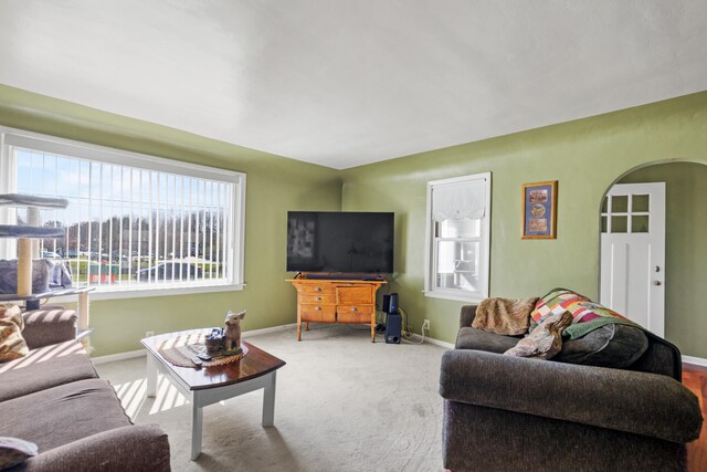 18125 174th Ave, Spring Lake, MI 49456 - living area featuring arched walkways, carpet, and baseboards