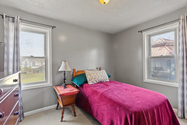 18125 174th Ave, Spring Lake, MI 49456 - bedroom with baseboards, carpet, and a textured ceiling