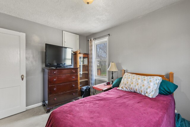 18125 174th Ave, Spring Lake, MI 49456 - bedroom featuring baseboards, a textured ceiling, and light colored carpet