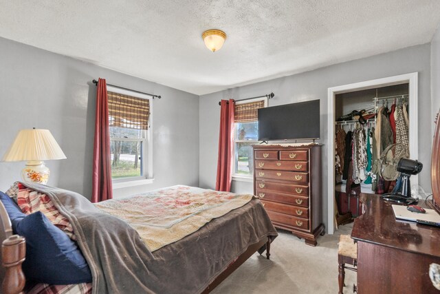 18125 174th Ave, Spring Lake, MI 49456 - bedroom featuring a textured ceiling, carpet floors, a closet, and a walk in closet