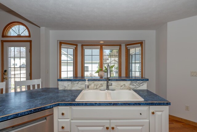 1060 Briarwood Ct, Norton Shores, MI 49441 - kitchen featuring a sink, dark countertops, white cabinetry, wood finished floors, and dishwasher