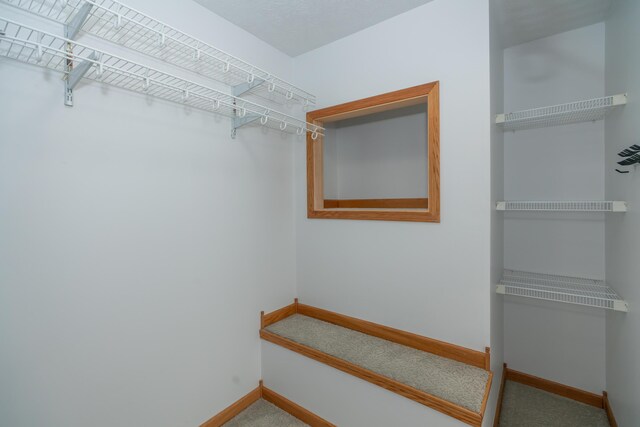 1060 Briarwood Ct, Norton Shores, MI 49441 - spacious closet with carpet floors