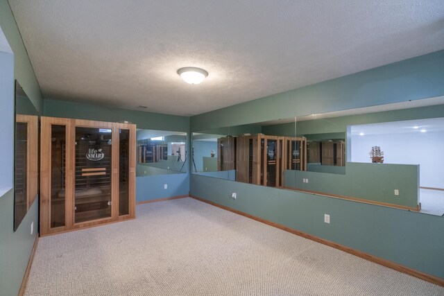 1060 Briarwood Ct, Norton Shores, MI 49441 - carpeted empty room featuring a textured ceiling and baseboards