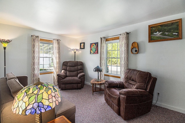 3175 Kalmbach Rd, Grass Lake, MI 49240 - living area featuring carpet floors and baseboards