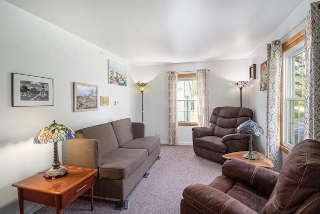 3175 Kalmbach Rd, Grass Lake, MI 49240 - living room with carpet flooring and baseboards