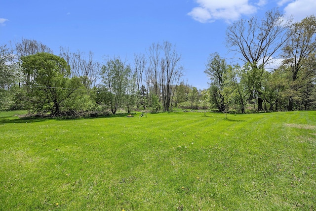 3175 Kalmbach Rd, Grass Lake, MI 49240 - view of green lawn