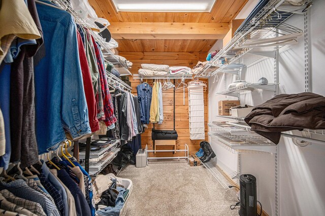 11365 Phal Rd, Grass Lake, MI 49240 - spacious closet with beamed ceiling and carpet flooring