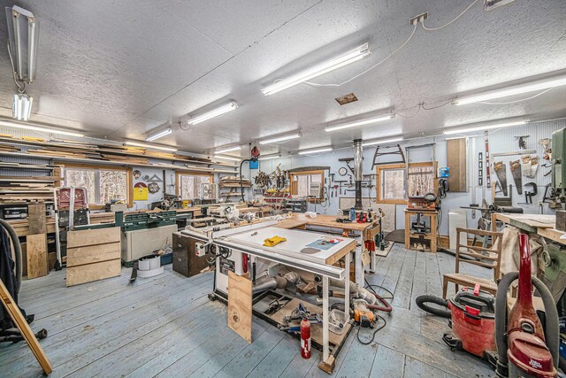 11365 Phal Rd, Grass Lake, MI 49240 - misc room with wood-type flooring, a textured ceiling, and a workshop area